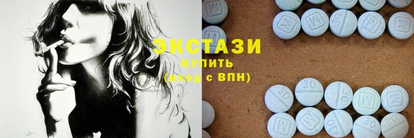 стаф Богданович