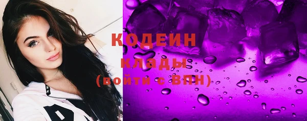 трава Наволоки