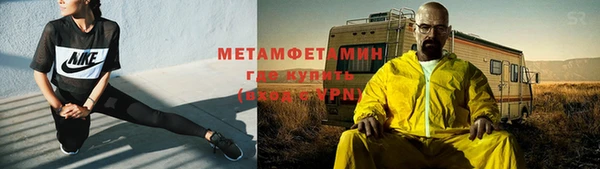 стаф Богданович