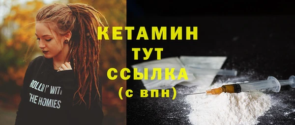 стаф Богданович