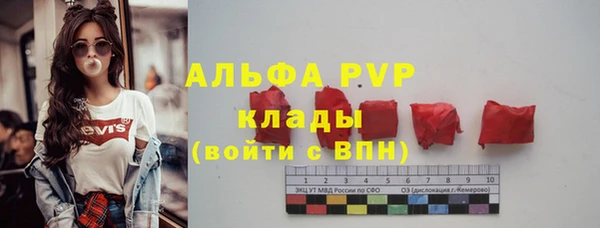 стаф Богданович