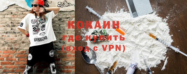стаф Богданович