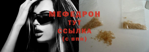 стаф Богданович
